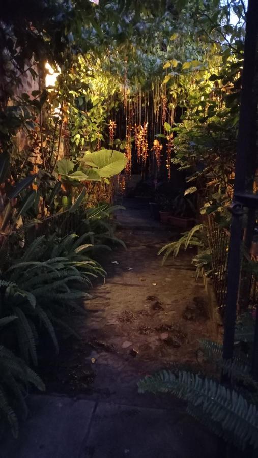 Casa Quetzalli, La Recoleccion Antigua Екстериор снимка