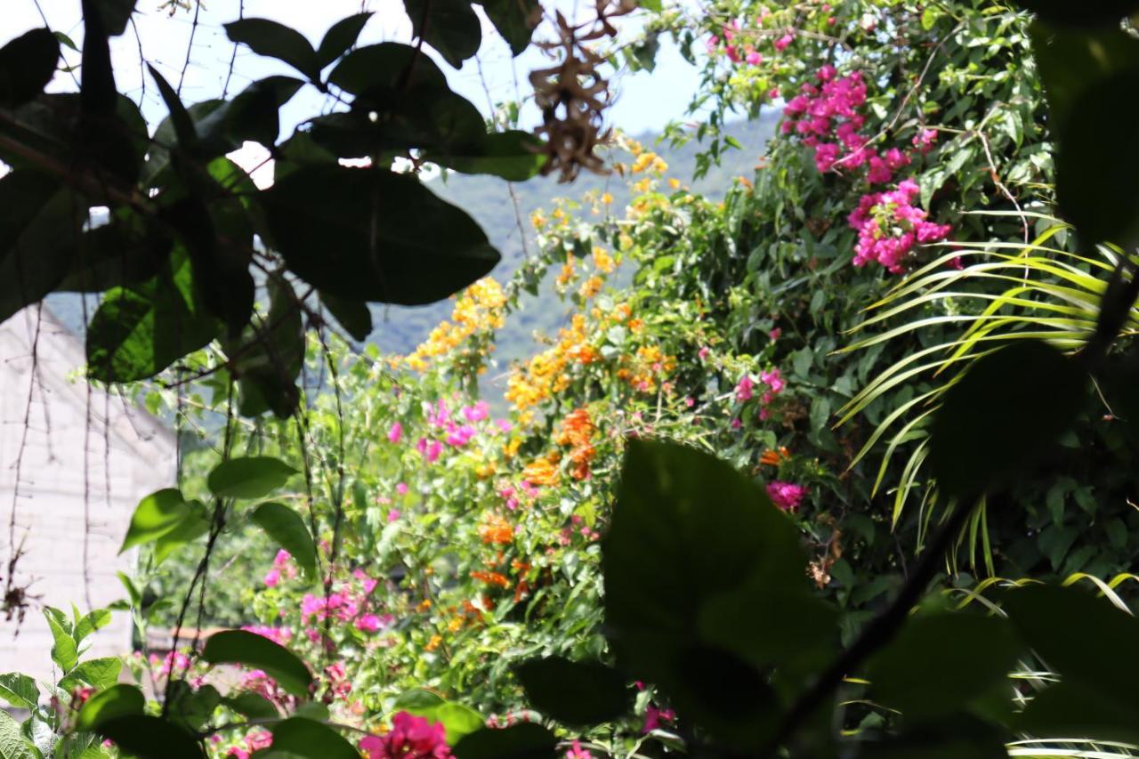 Casa Quetzalli, La Recoleccion Antigua Екстериор снимка